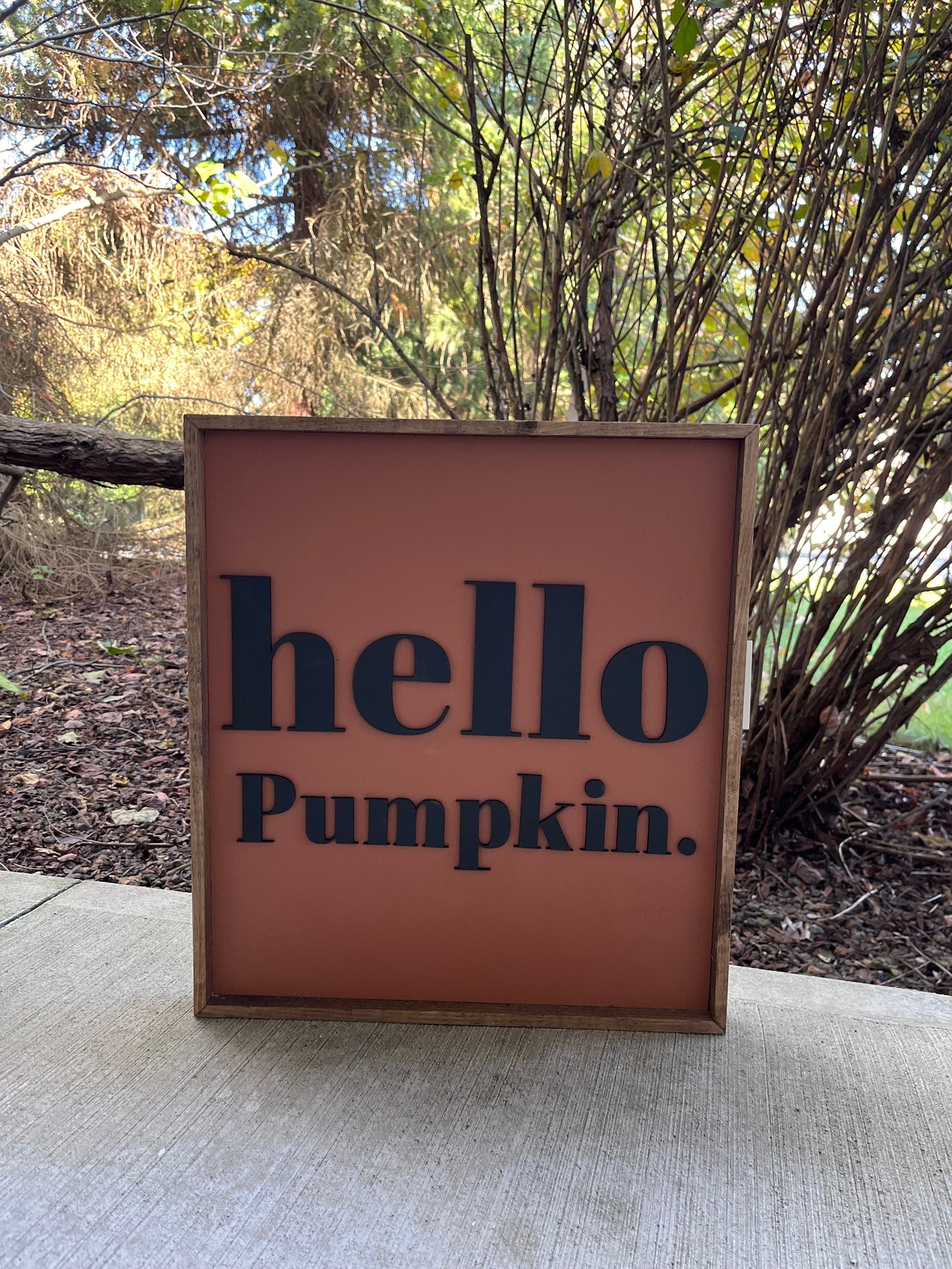 Hello pumpkin sign