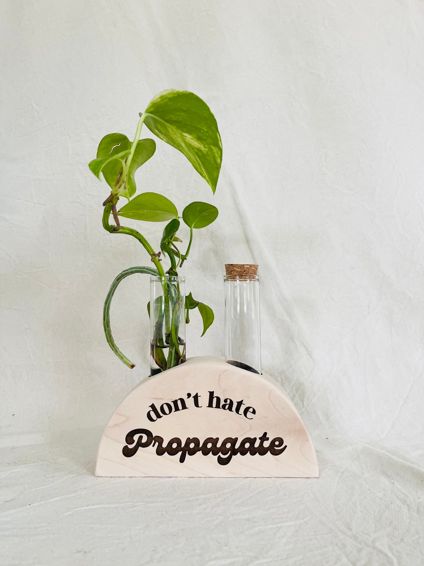 Propagation station