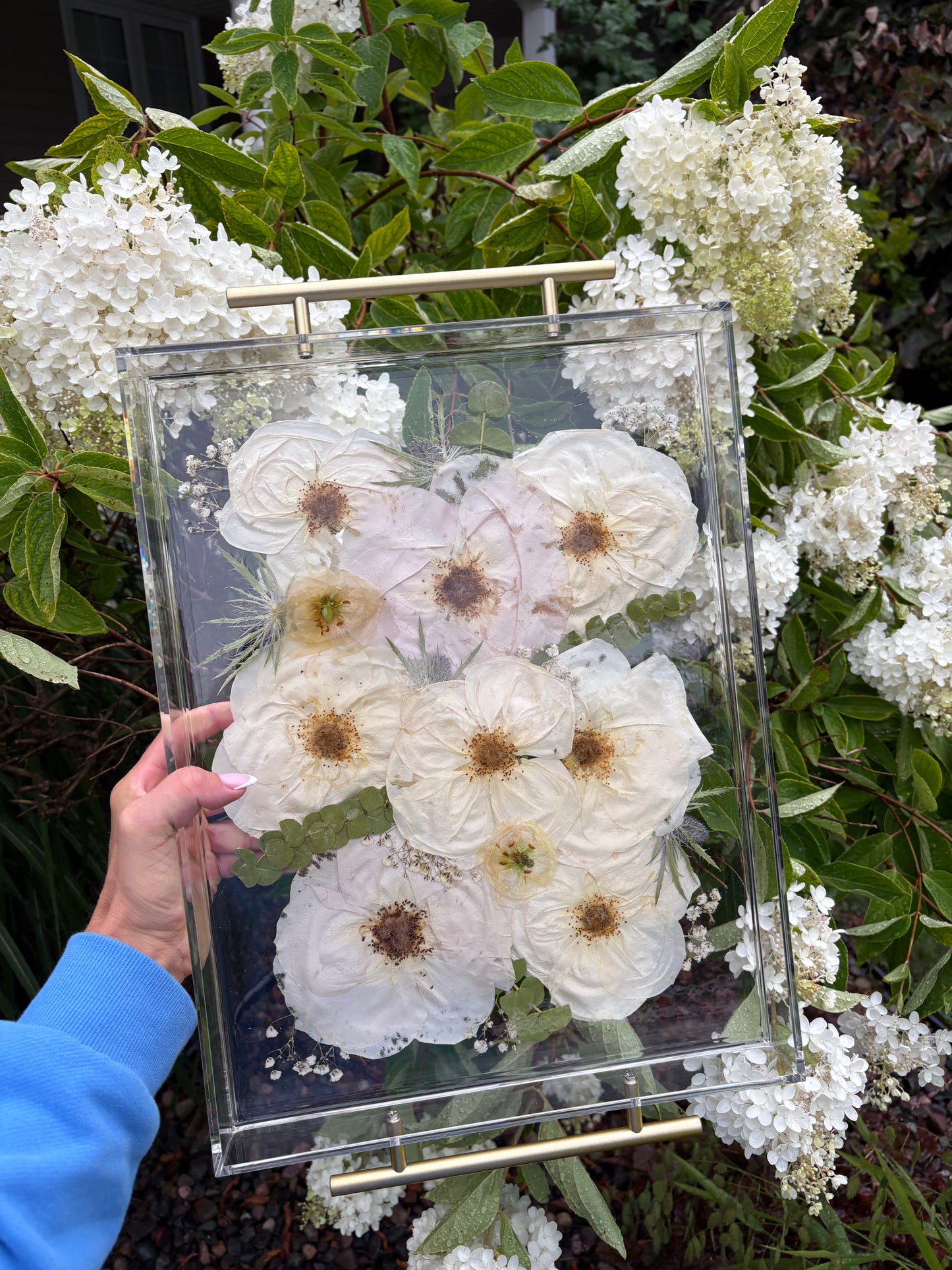 Flower preservation